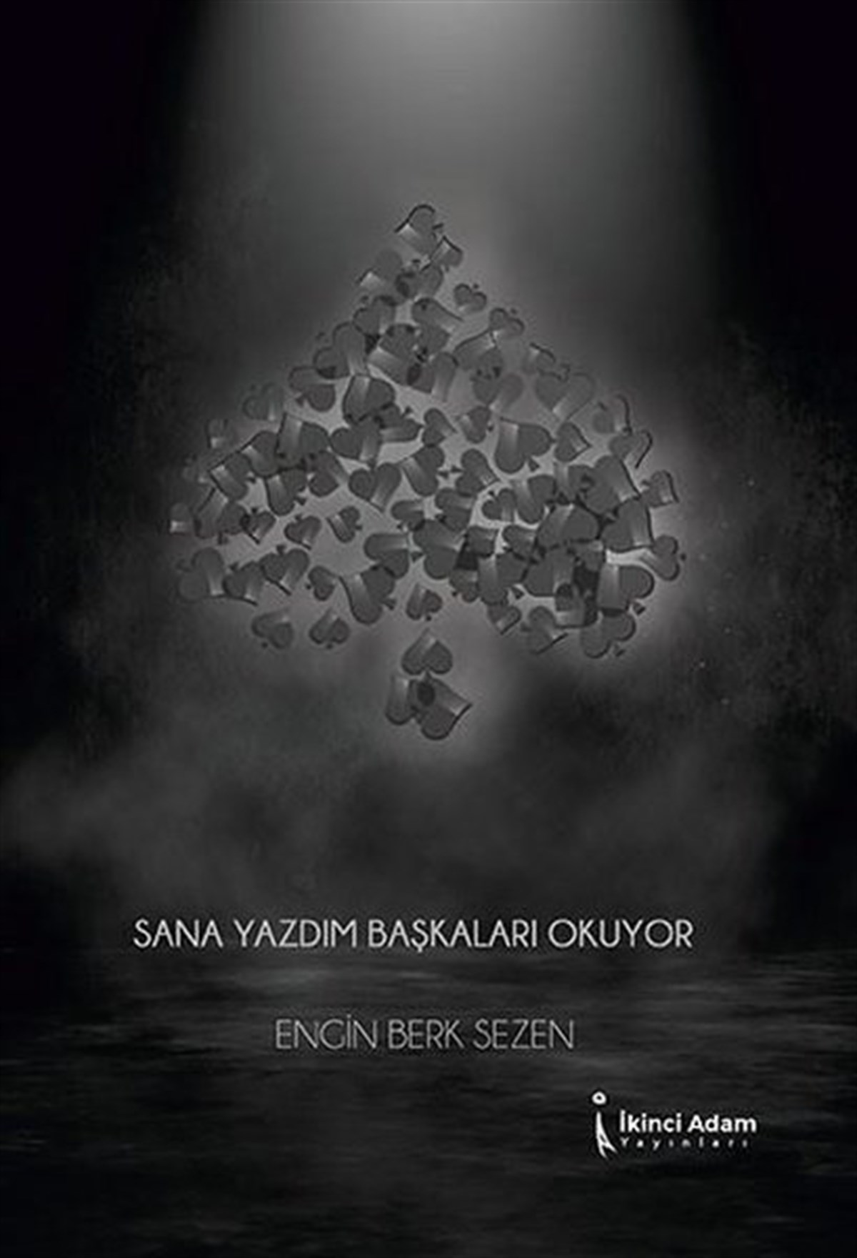 Engin Berk SezenDeneme KitaplarıSana Yazdım Başkaları Okuyor