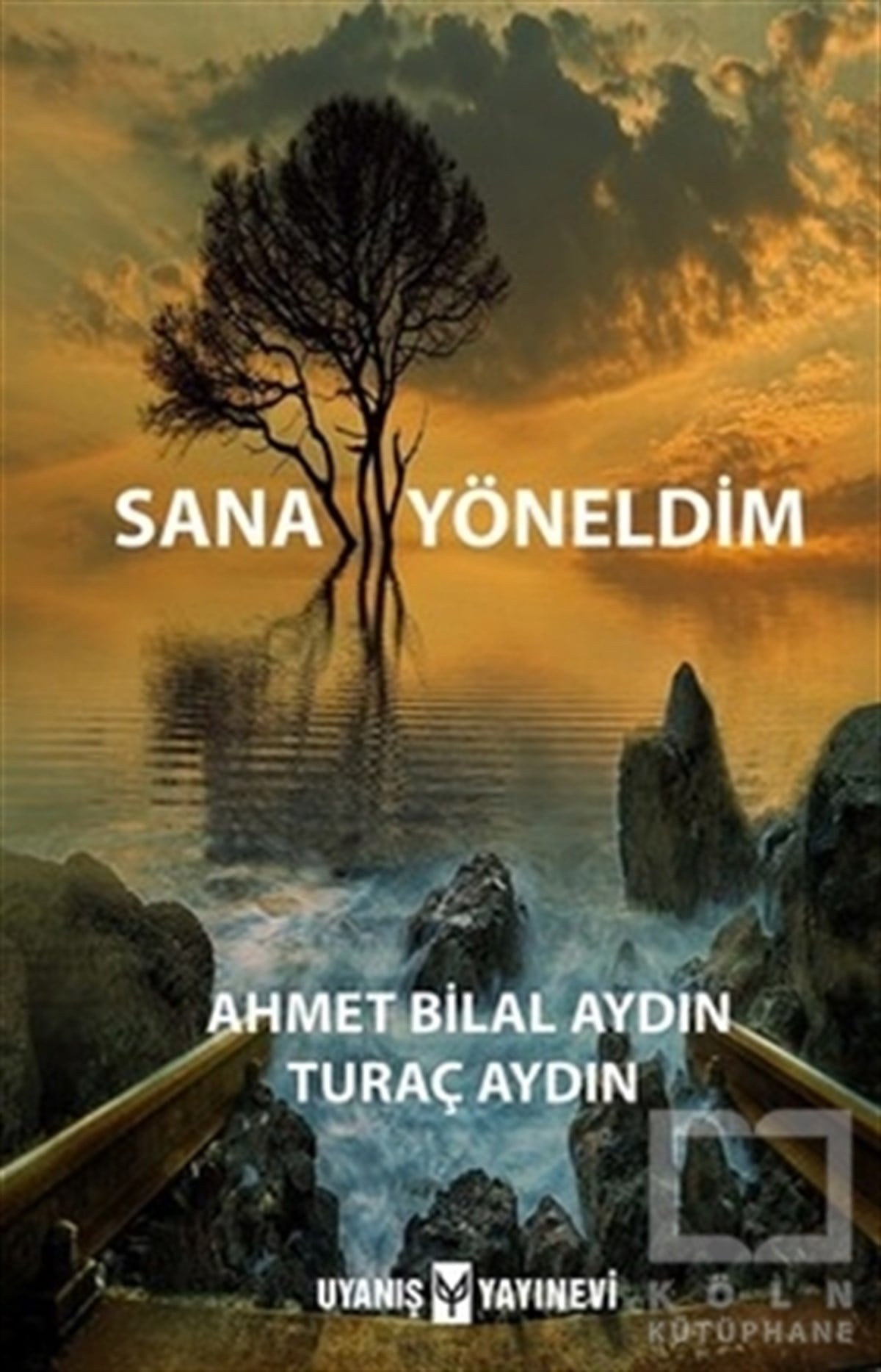 Ahmet Bilal AydınŞiirSana Yöneldim