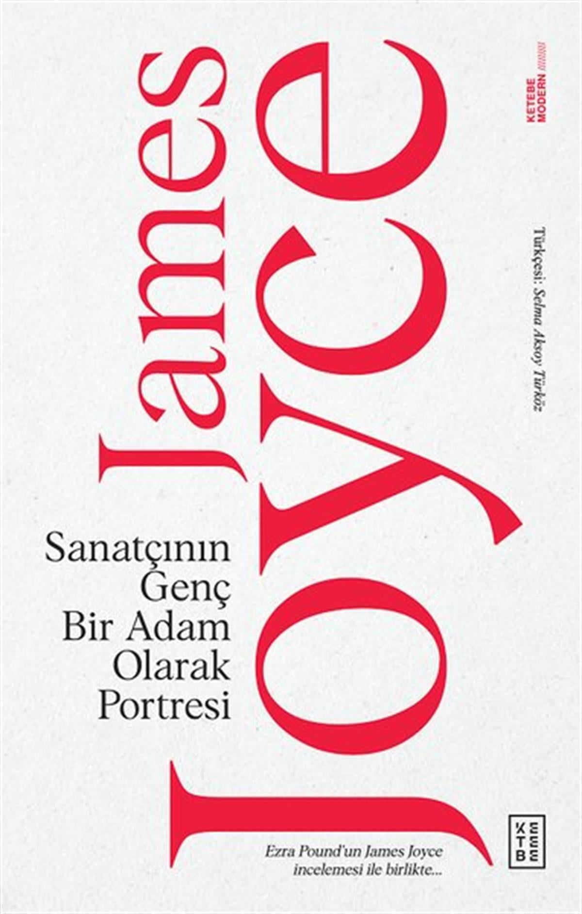 James JoyceDünya RomanSanatçının Genç Bir Adam Olarak Portresi