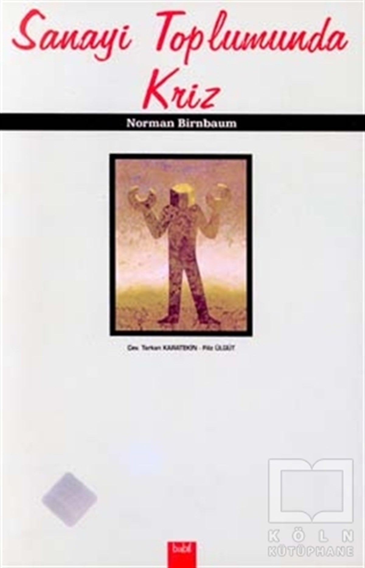 Norman BirnbaumDiğerSanayi Toplumunda Kriz