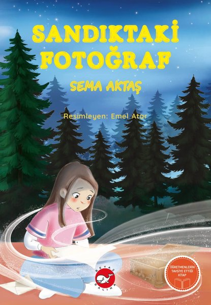 Sema AktaşÇocuk Gençlik RomanlarıSandıktaki Fotoğraf