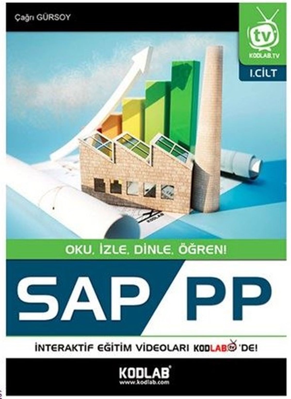 Çağrı GürsoyBilgisayar KitaplarıSAP PP 1.Cilt