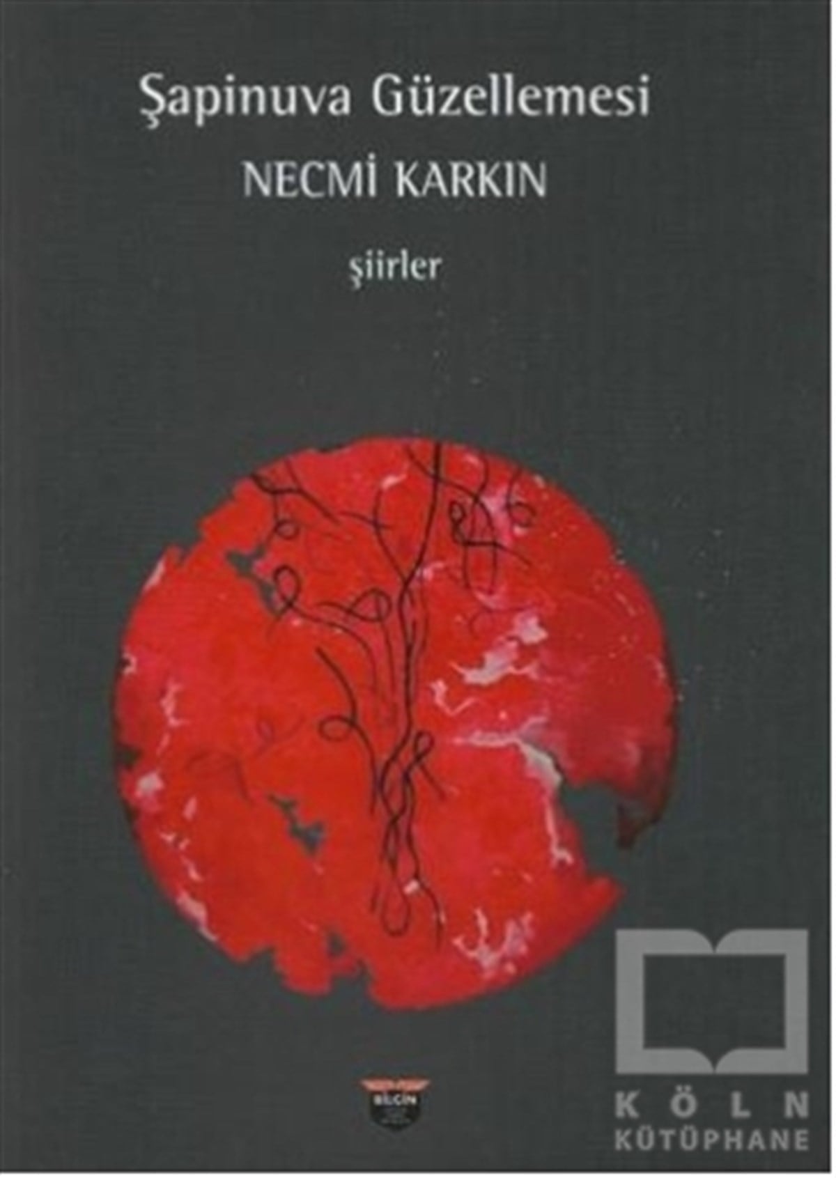 Necmi KarkınTürkçe Şiir KitaplarıŞapinuva Güzellemesi