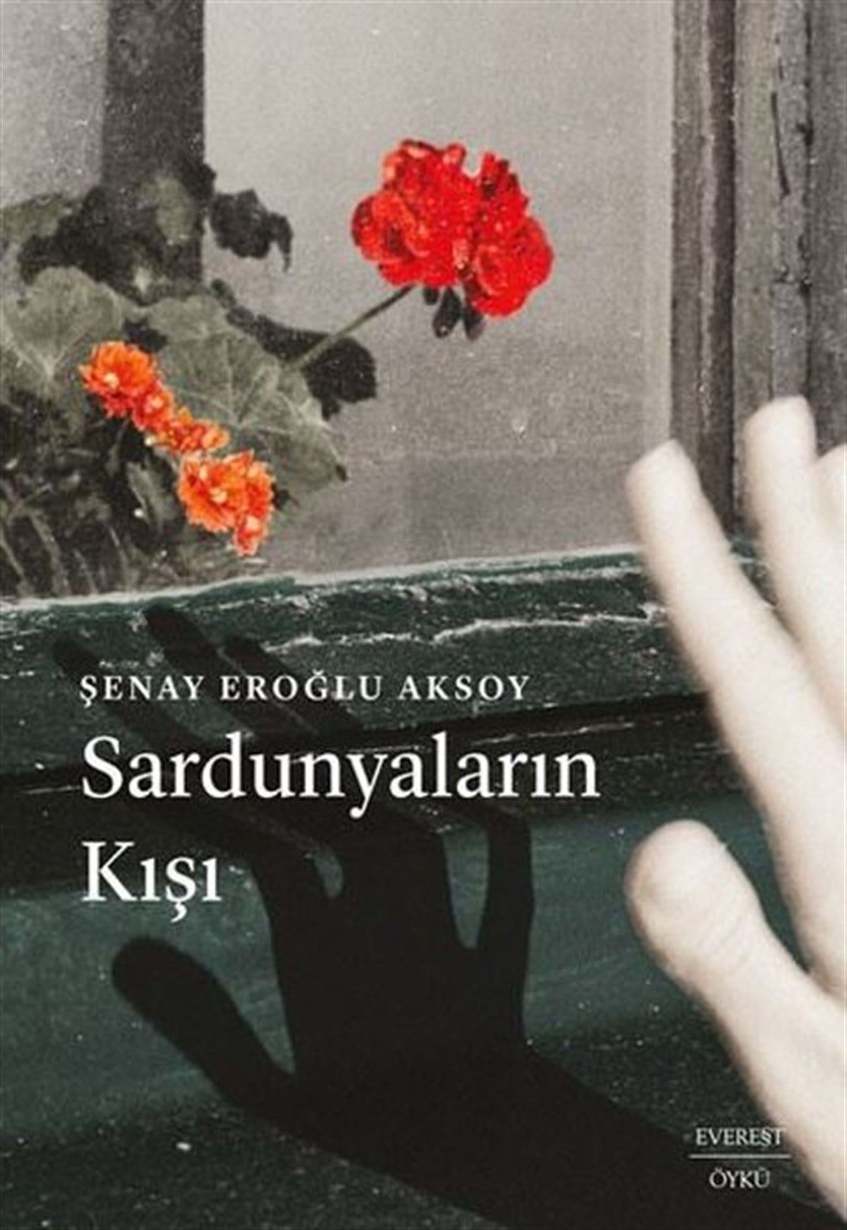 Şenay Eroğlu AksoyTürkiye RomanSardunyaların Kışı