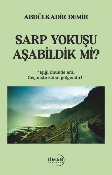 Abdülkadir DemirTürkiye RomanSarp Yokuşu Aşabildik mi?