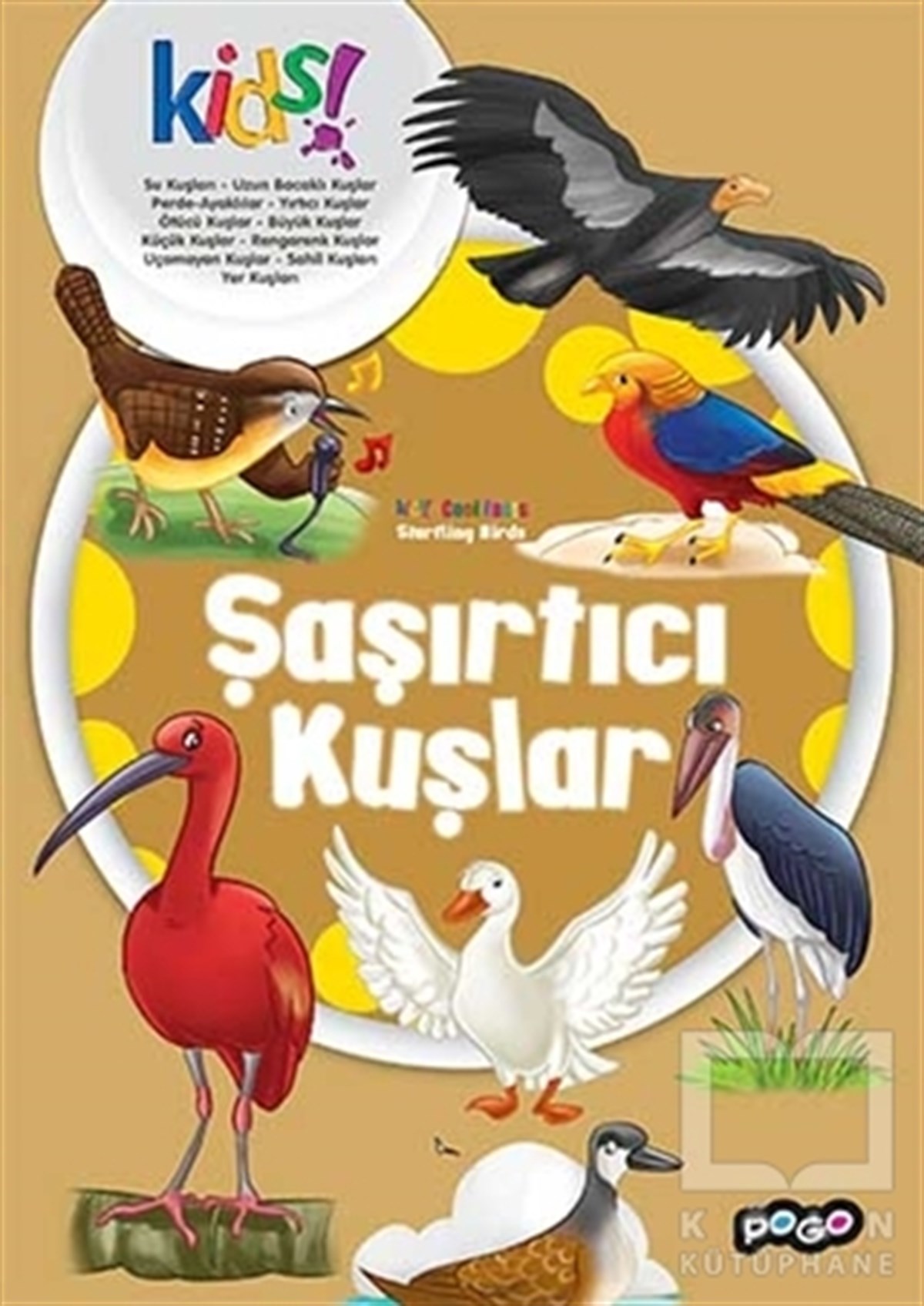 KolektifDiğerŞaşırtıcı Kuşlar
