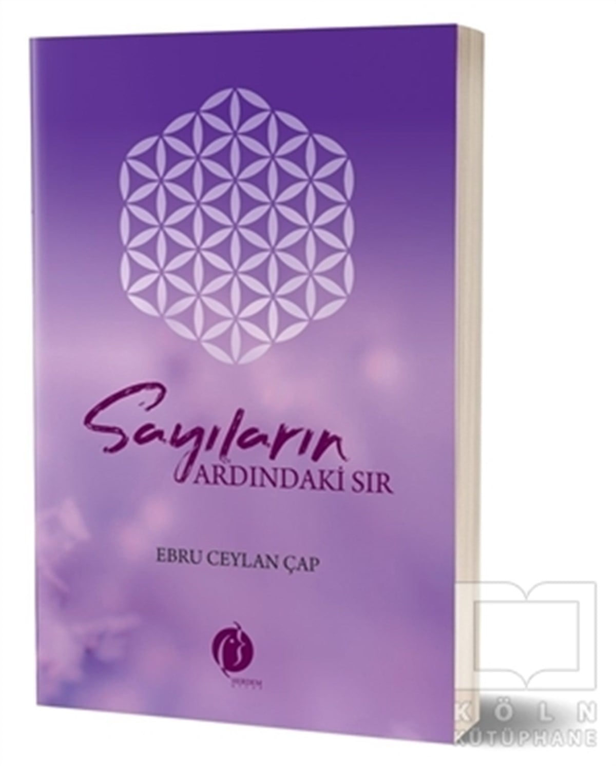 Ebru Ceylan ÇapTürkçe RomanlarSayıların Ardındaki Sır