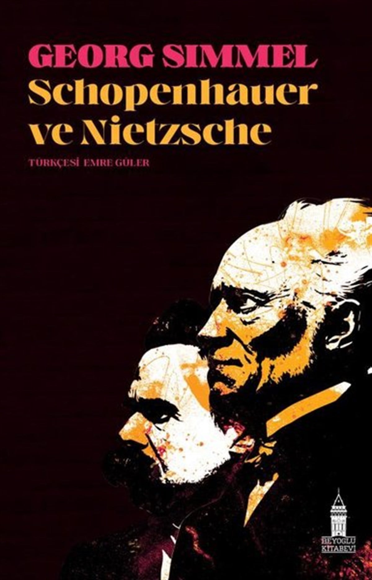Georg SimmelFelsefe BilimiSchopenhauer ve Nietzsche