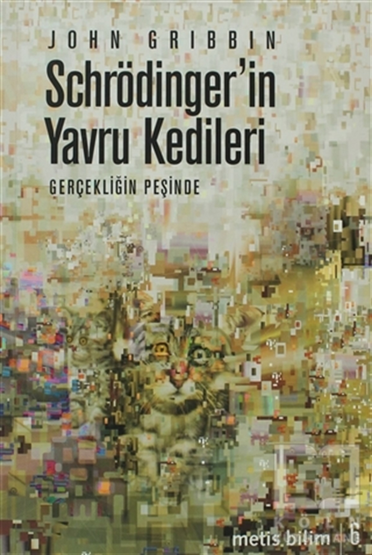 John GribbinPopüler BilimSchrödinger’in Yavru Kedileri