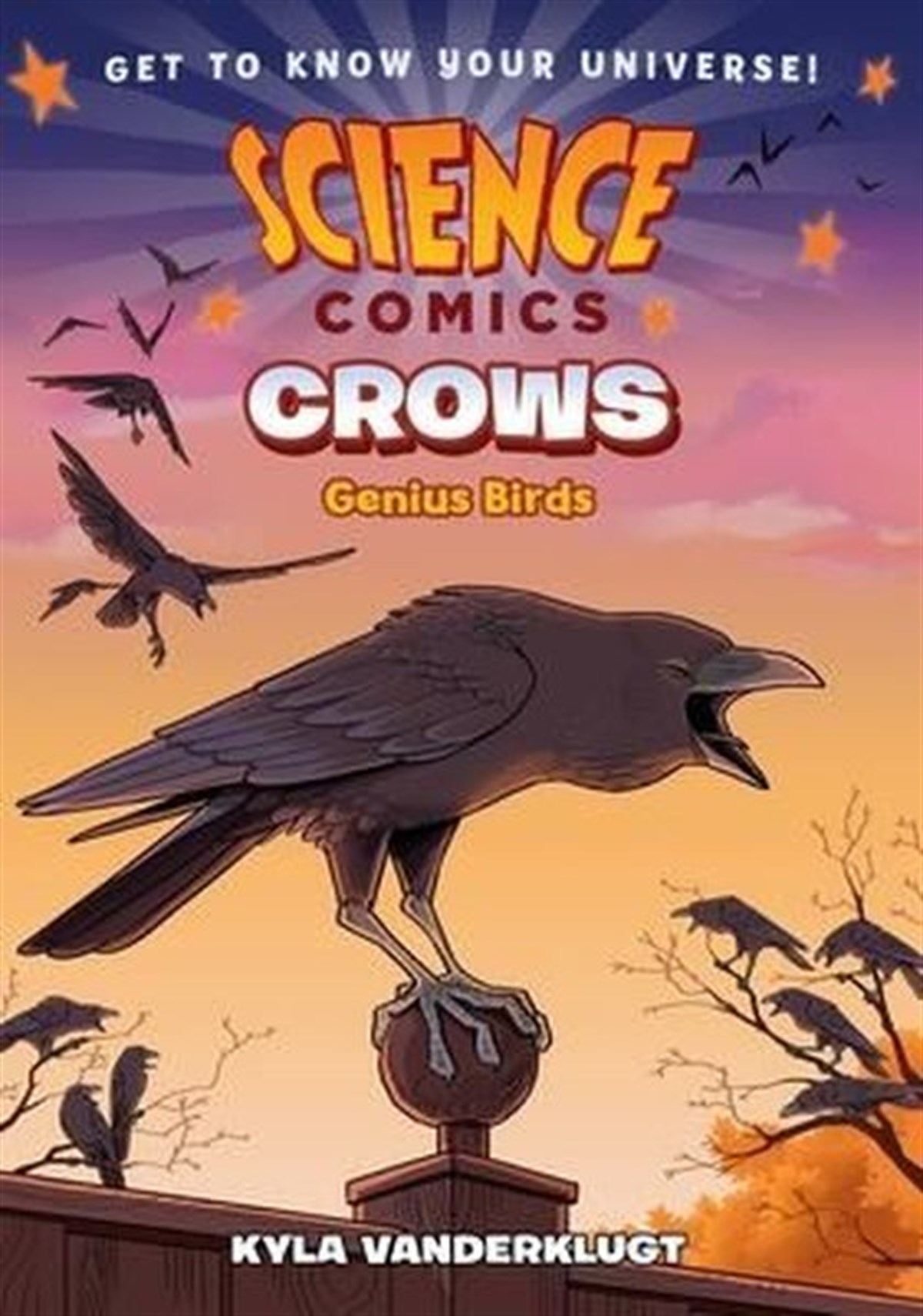 Kyla VanderklugtChildren InterestScience Comics: Crows : Genius Birds