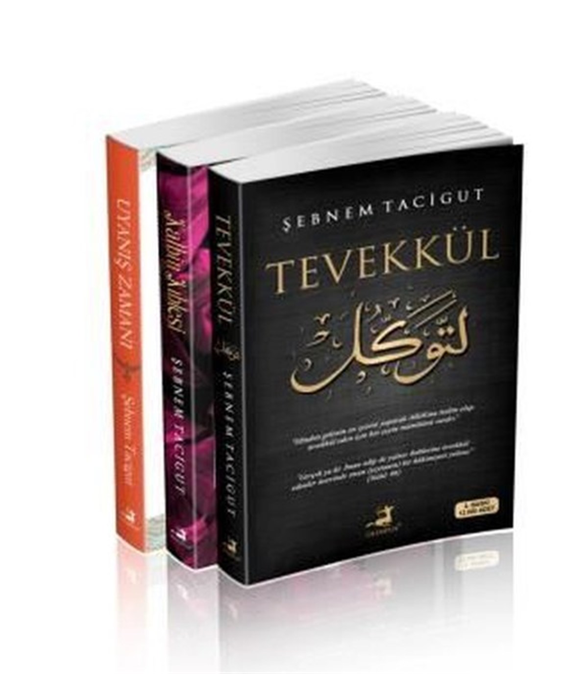 Şebnem TacıgutKişisel Gelişim KitaplarıŞebnem Tacigut Seti - 3 Kitap Takım
