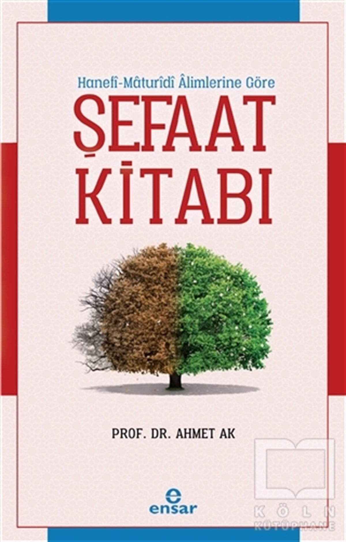 Ahmet AkDiğerŞefaat Kitabı