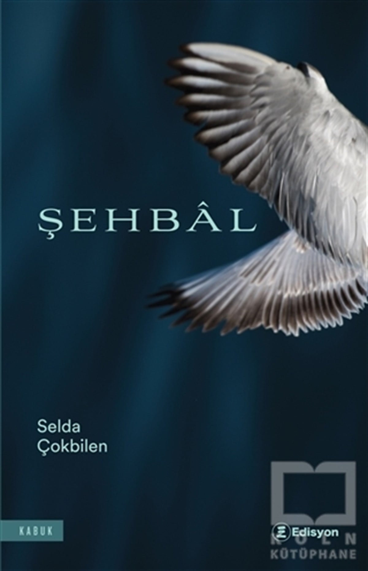 Selda ÇokbilenHikaye (Öykü) KitaplarıŞehbal