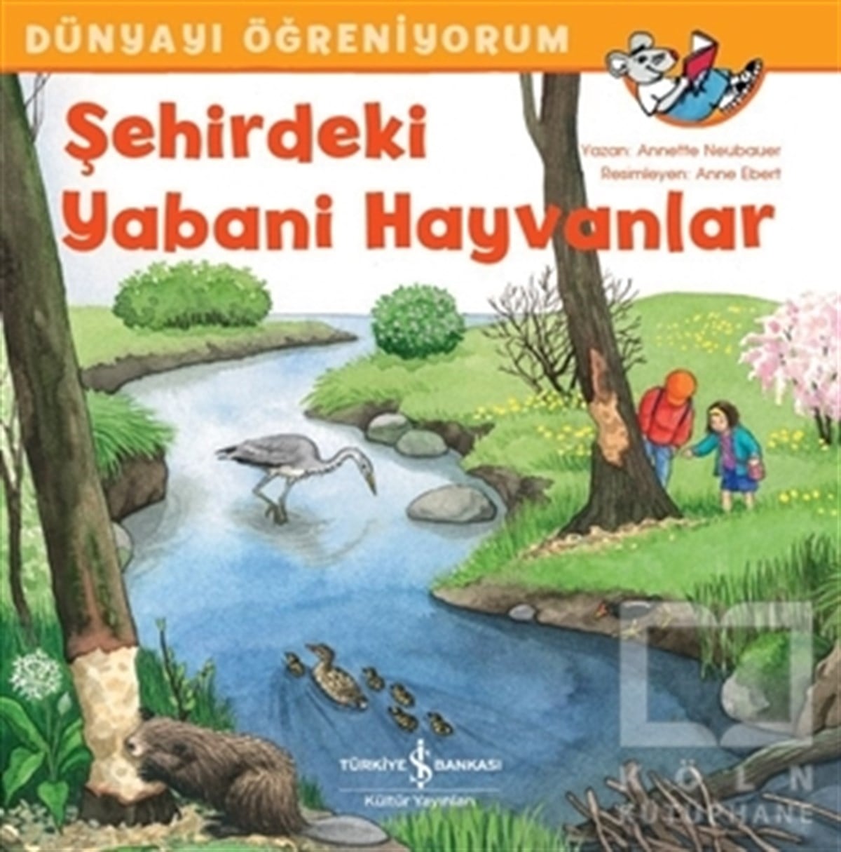 Annette NeubauerÇocuk Hikaye KitaplarıŞehirdeki Yabani Hayvanlar - Dünyayı Öğreniyorum