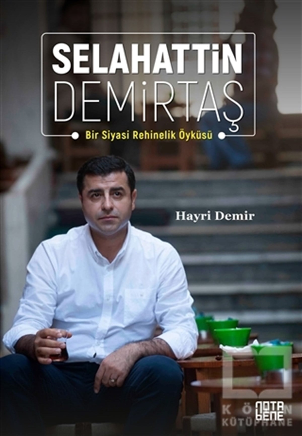 Hayri DemirHikaye (Öykü) KitaplarıSelahattin Demirtaş
