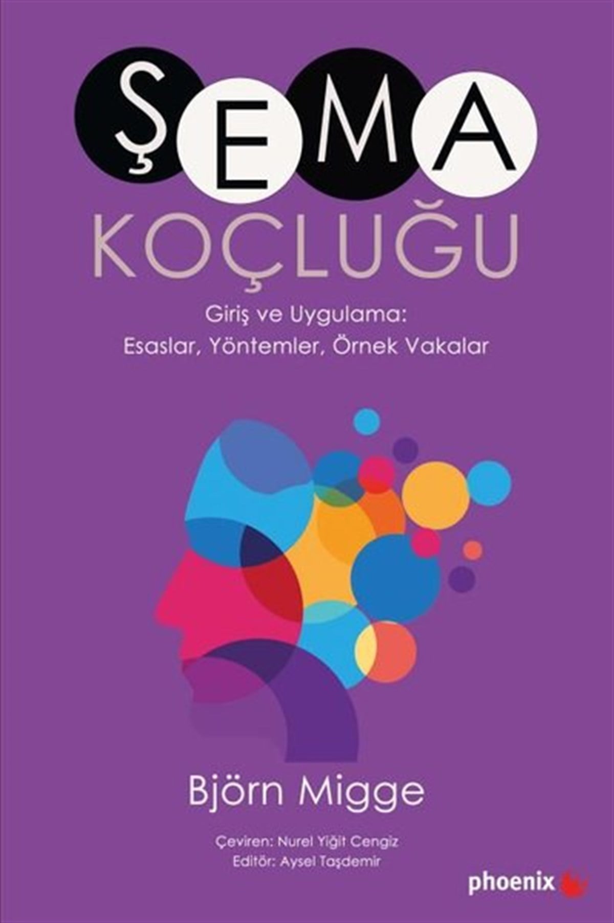 Björn MiggePsikoloji KitaplarıŞema Koçluğu