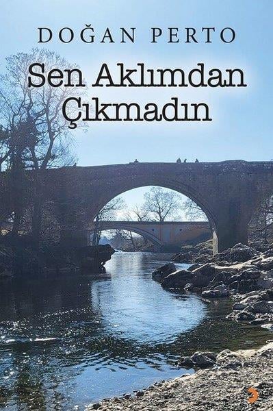Doğan PertoTürk ŞiiriSen Aklımdan Çıkmadın