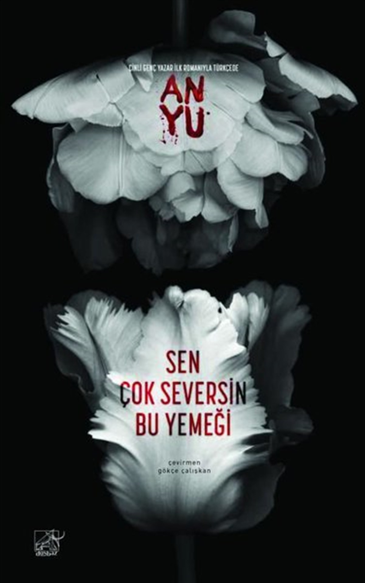 An YuDünya RomanSen Çok Seversin Bu Yemeği