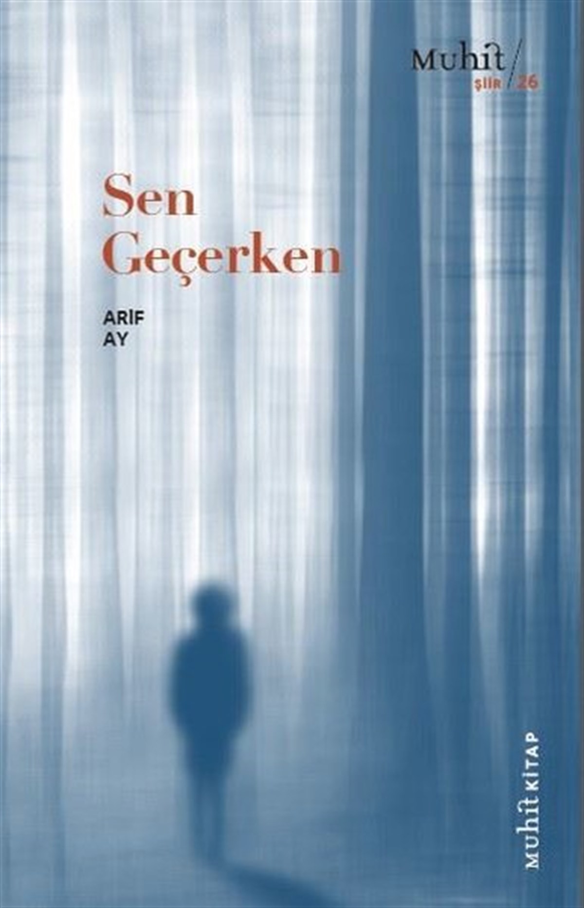 Arif AyTürk ŞiiriSen Geçerken