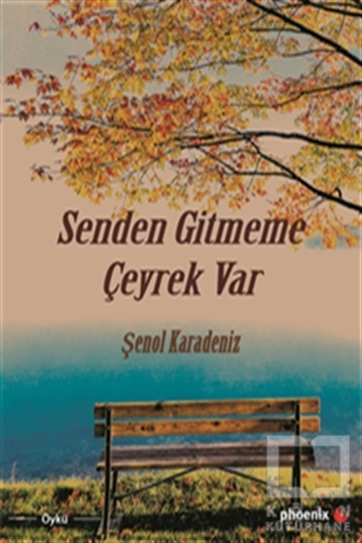 Şenol KaradenizÖyküSenden Gitmeme Çeyrek Var
