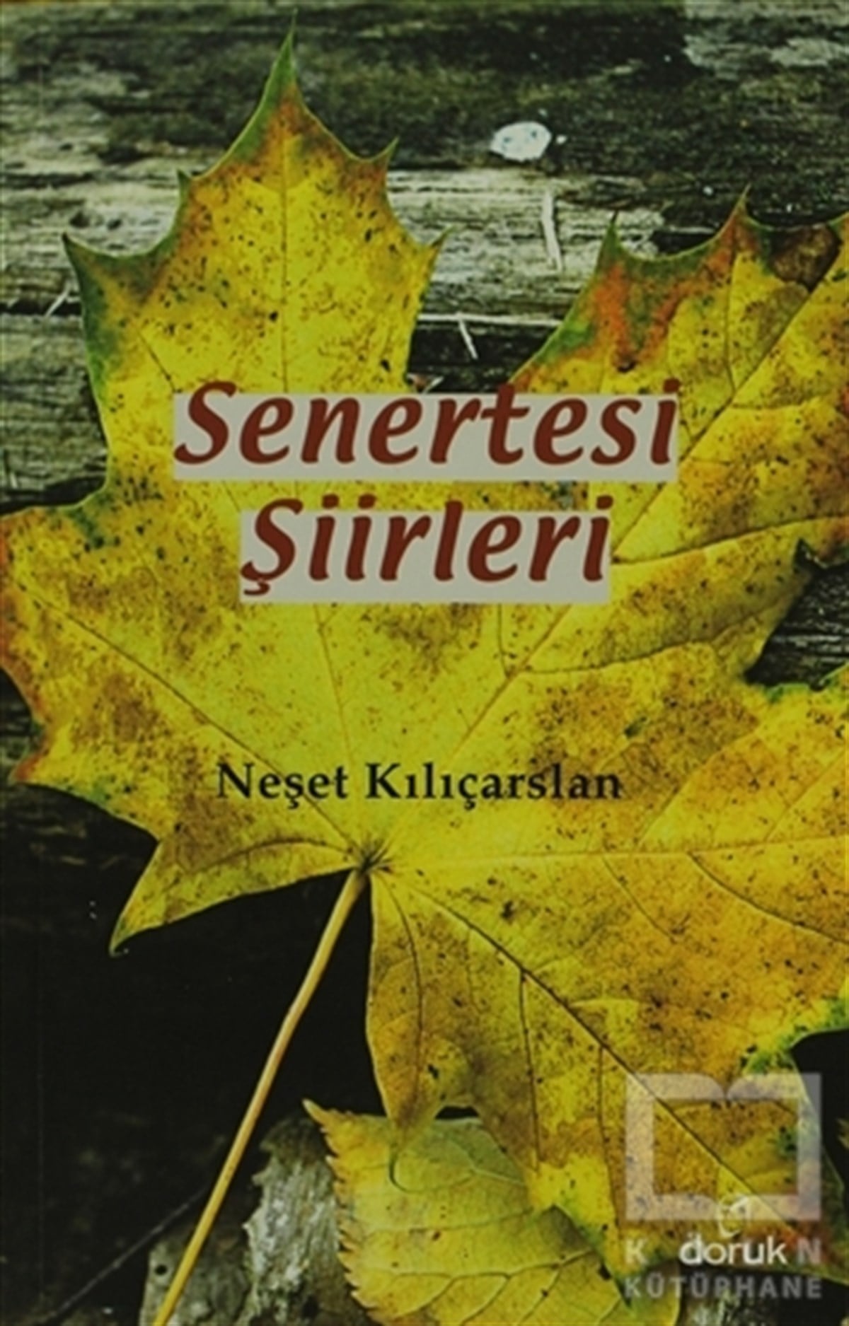 Neşet KılıçarslanŞiirSenertesi Şiirleri