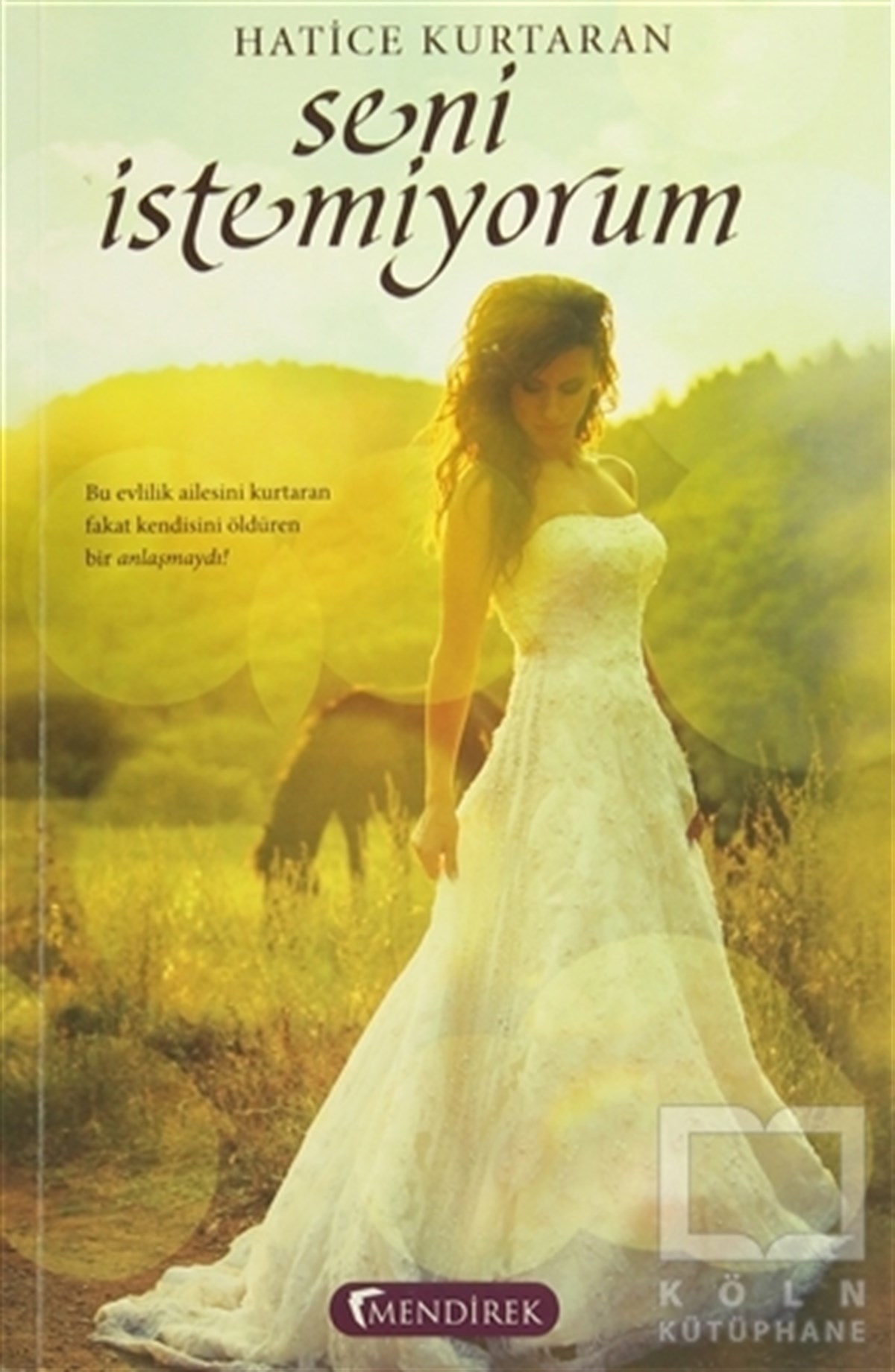 Hatice KurtaranRomanSeni İstemiyorum