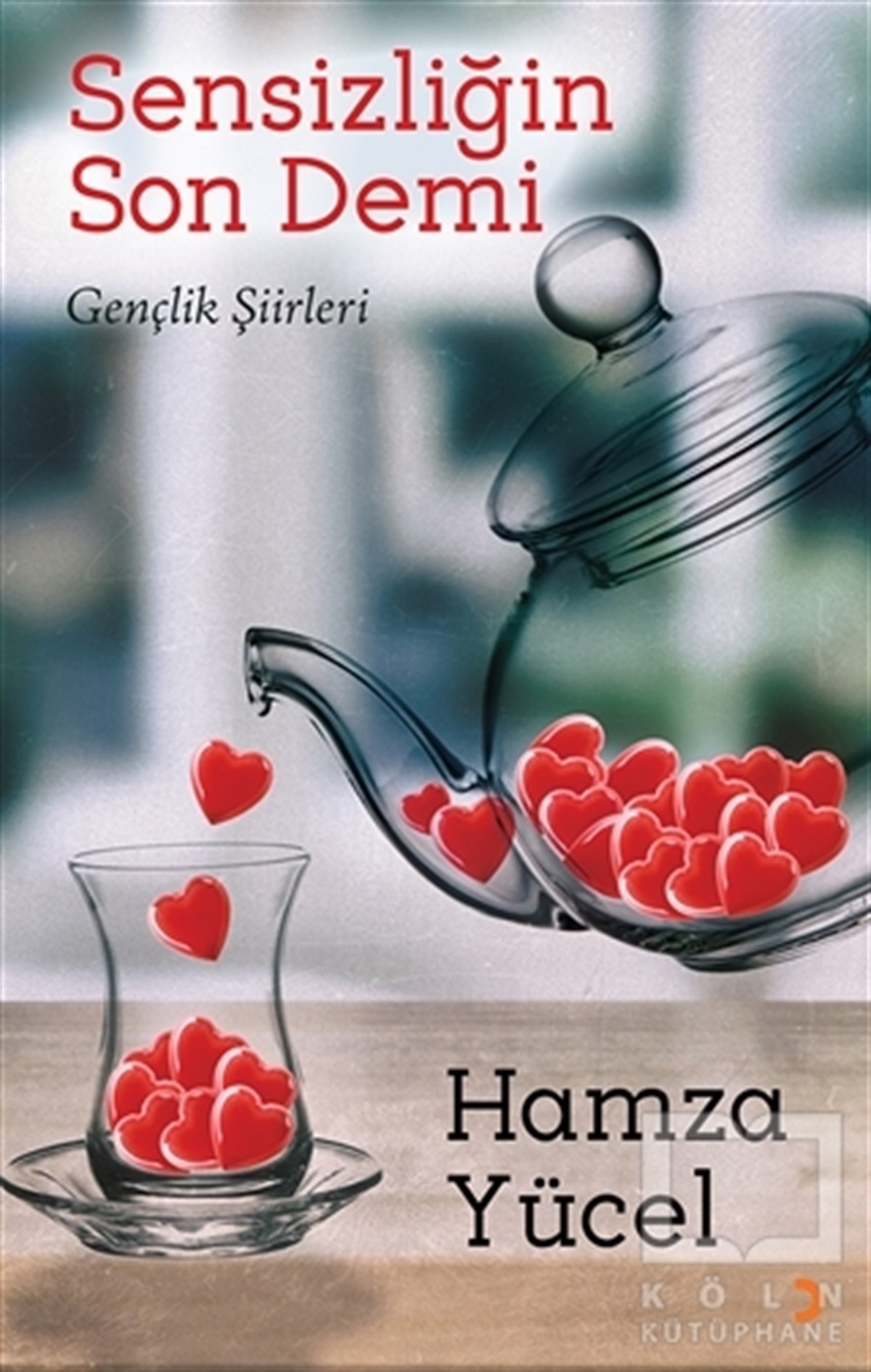 Hamza YücelŞiirSensizliğin Son Demi
