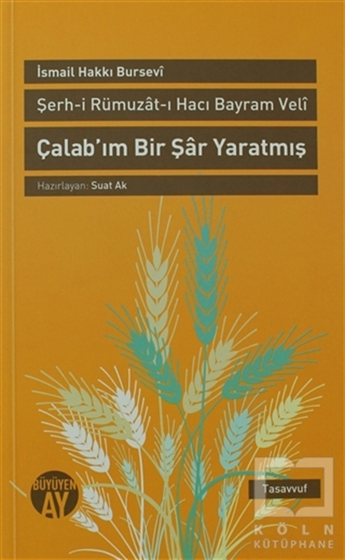 İsmail Hakkı BurseviTasavvuf - Mezhepler - TarikatlarŞerh-i Rümuzat-ı Hacı Bayram Veli  - Çalab’ım Bir Şar Yaratmış