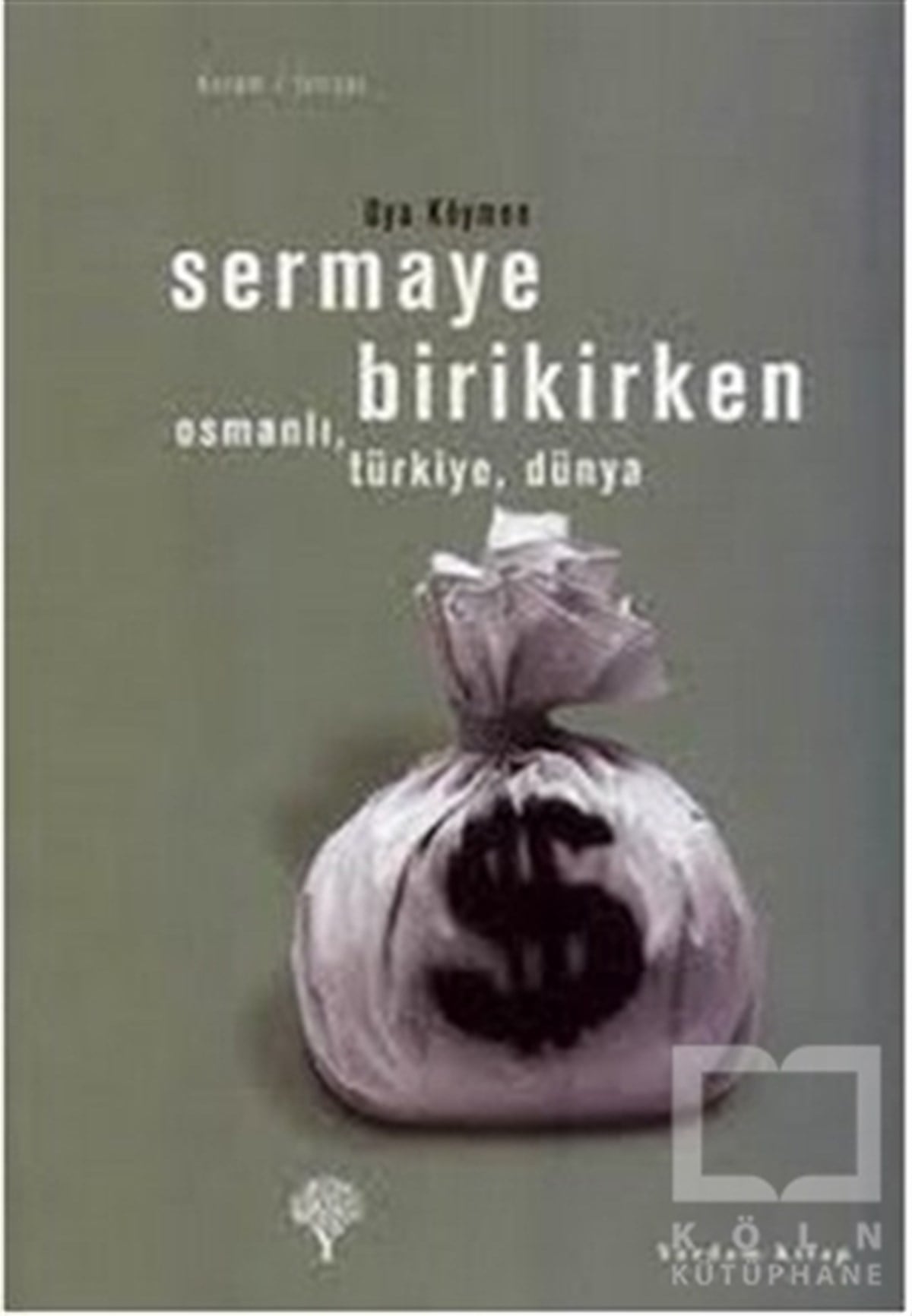 Oya KöymenDiğerSermaye Birikirken