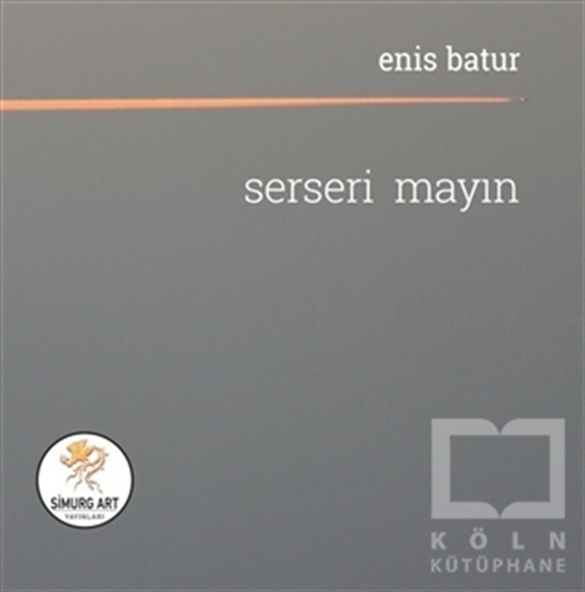 Enis BaturHikaye (Öykü) KitaplarıSerseri Mayın
