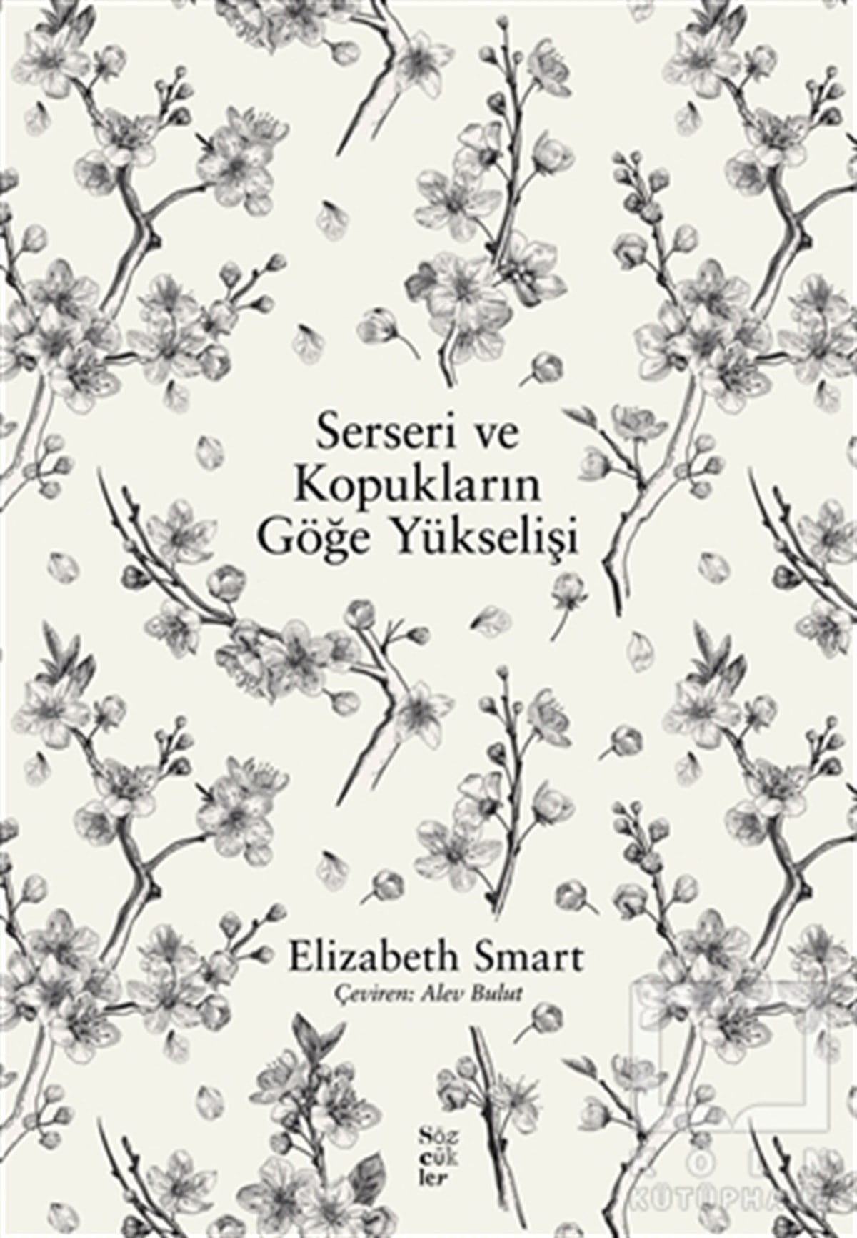 Elizabeth SmartRomanSerseri ve Kopukların Göğe Yükselişi