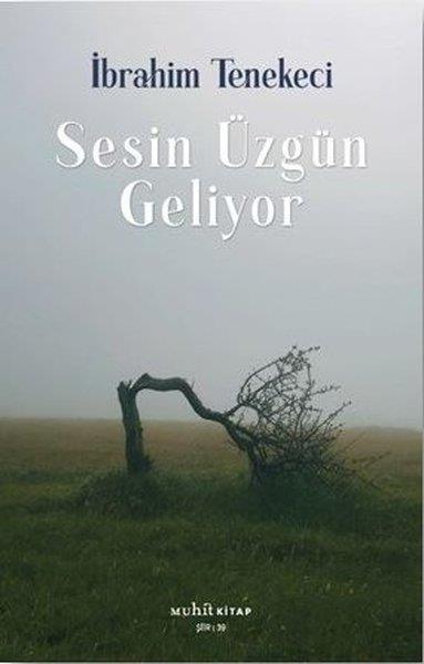 İbrahim TenekeciTürk ŞiiriSesin Üzgün Geliyor