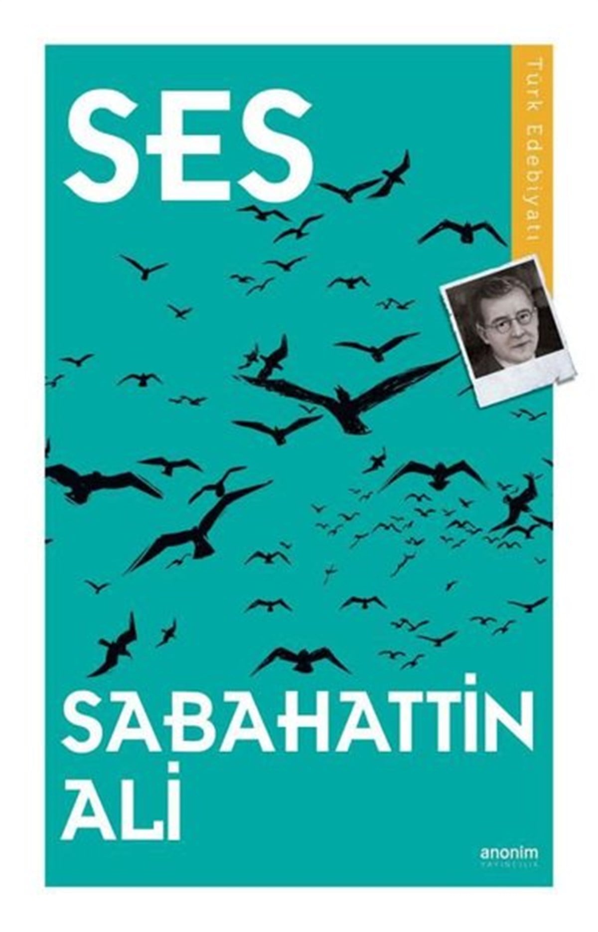 Sabahattin AliTürkiye RomanSes