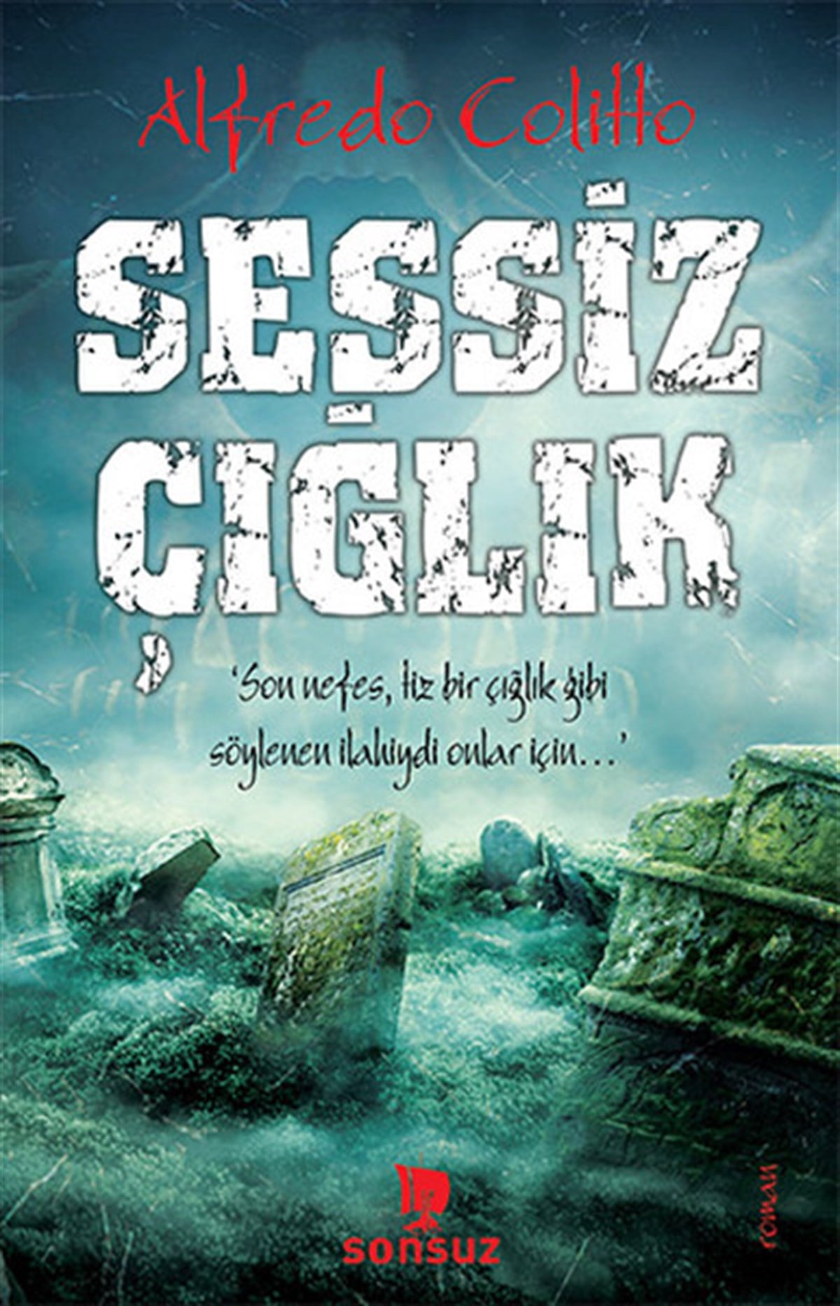 Alfredo ColittoKorku Kitapları & Gerilim KitaplarıSessiz Çığlık