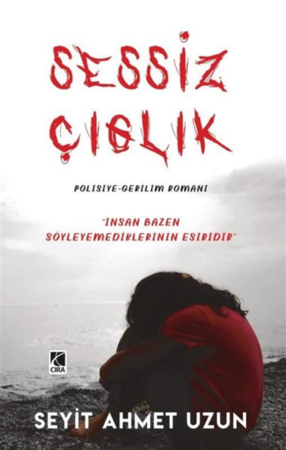 Seyit Ahmet UzunPolisiye Romanlar & Cinayet RomanlarıSessiz Çığlık