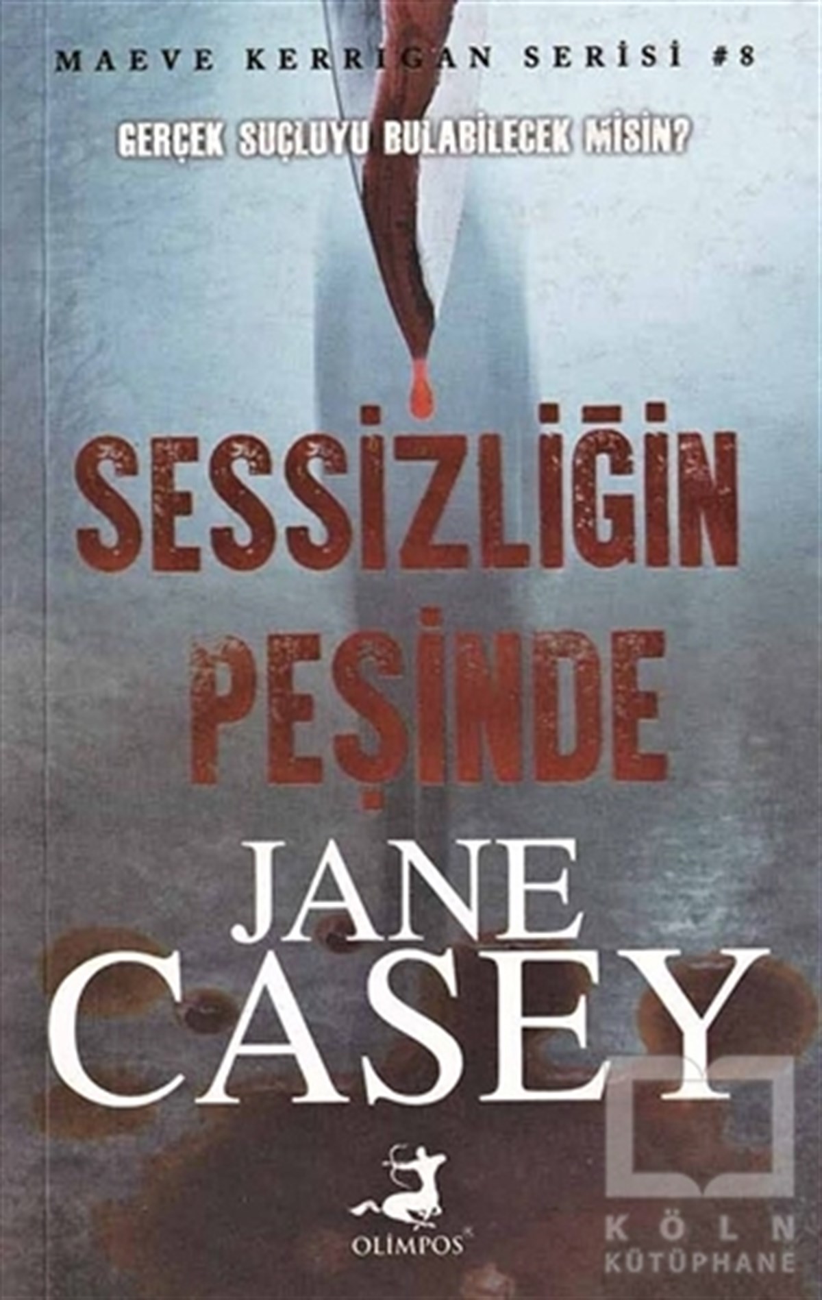 Jane CaseyTürkçe RomanlarSessizliğin Peşinde