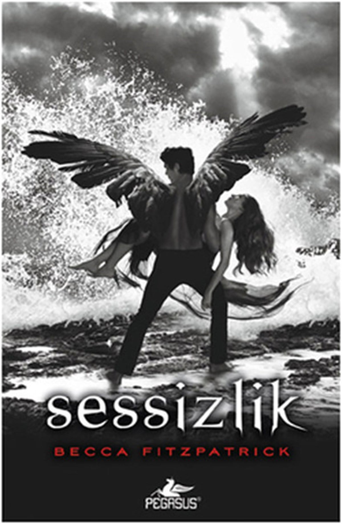 Sevinç Tezcan YanarKorku Kitapları & Gerilim KitaplarıSessizlik - Hush Hush Serisi 3. Kitap