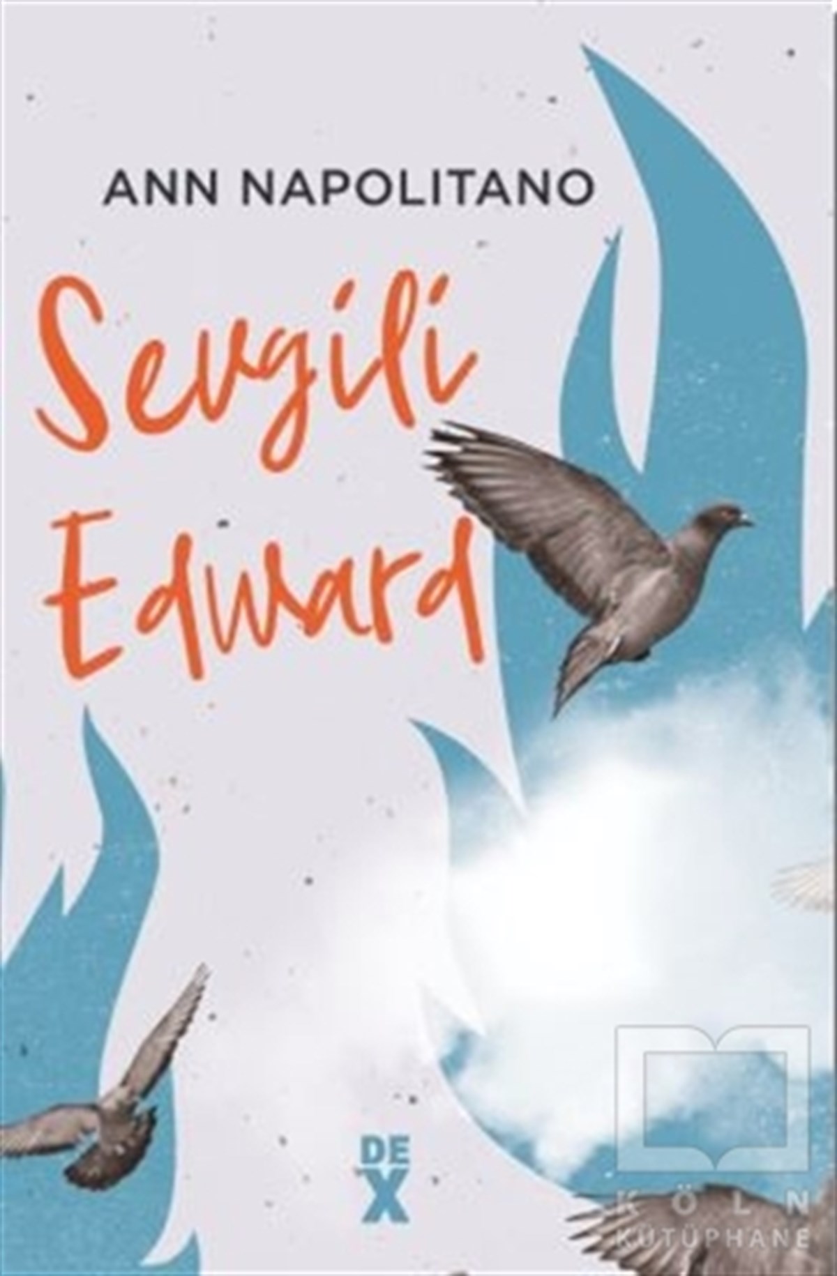 Ann NapolitanoTürkçe RomanlarSevgili Edward