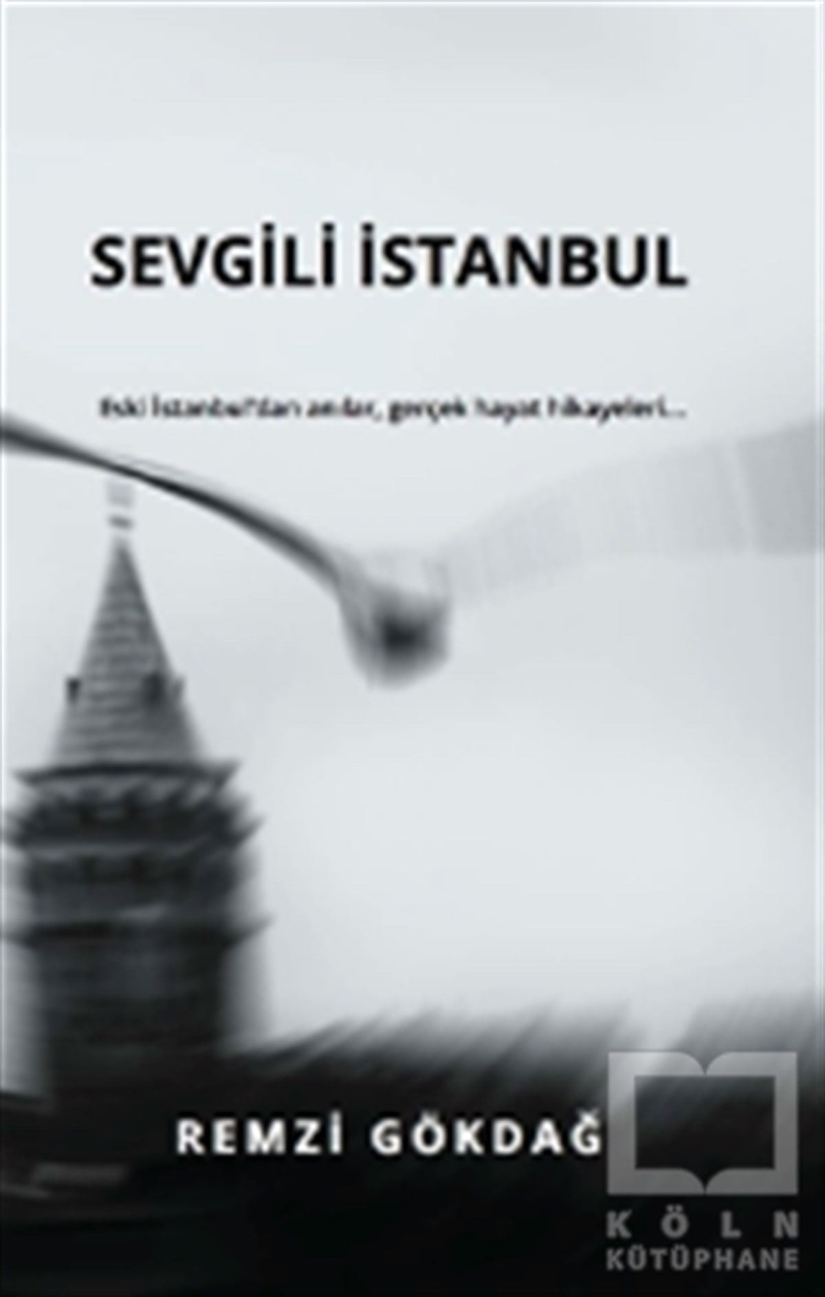 Remzi GökdağGezi RehberiSevgili İstanbul