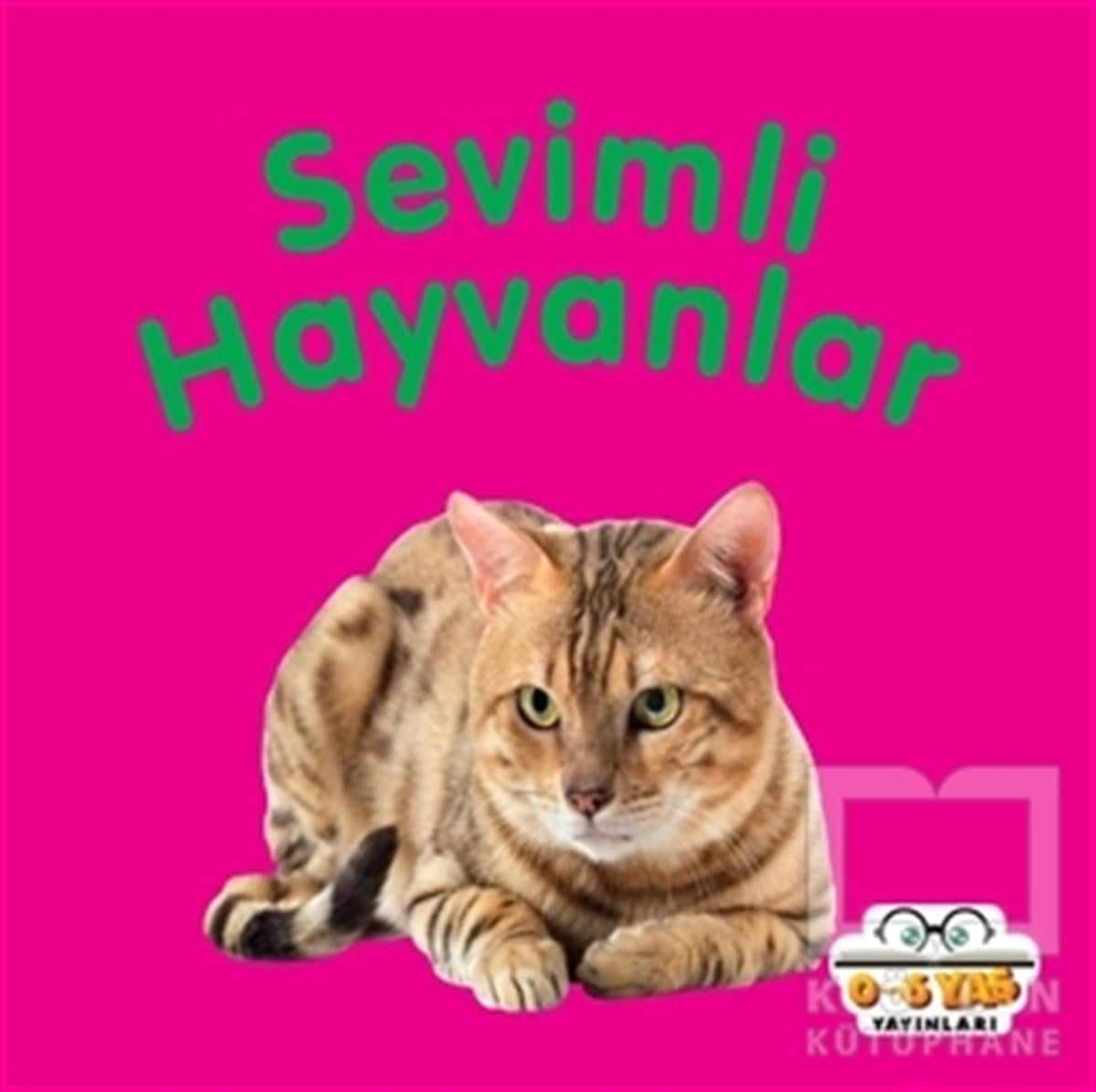 Ahmet AltayEtkinlik KitaplarıSevimli Hayvanlar
