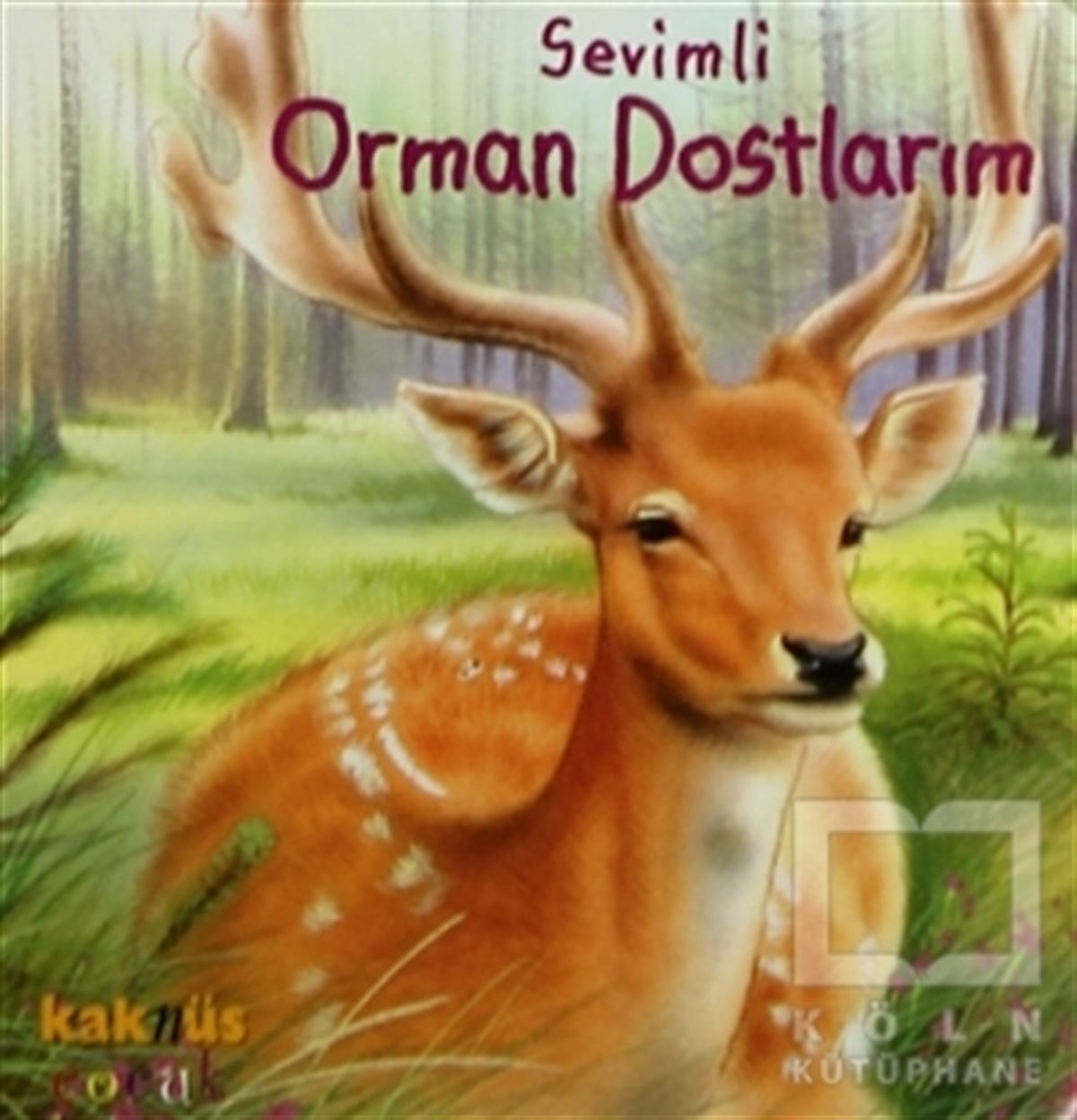 KolektifOkul Öncesi Resimli KitaplarSevimli Orman Dostlarım
