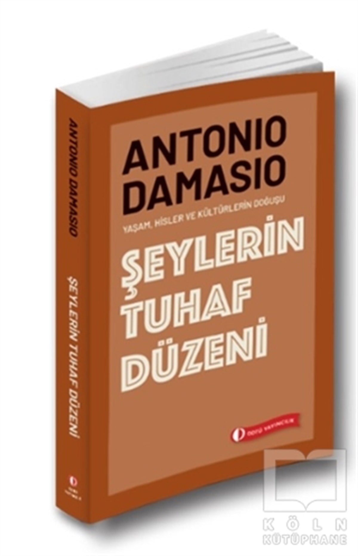 Antonio DamasioDiğerŞeylerin Tuhaf Düzeni