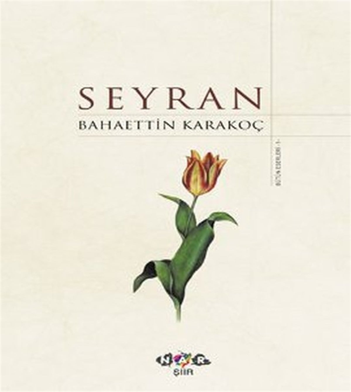 Bahaettin KarakoçTürk ŞiiriSeyran