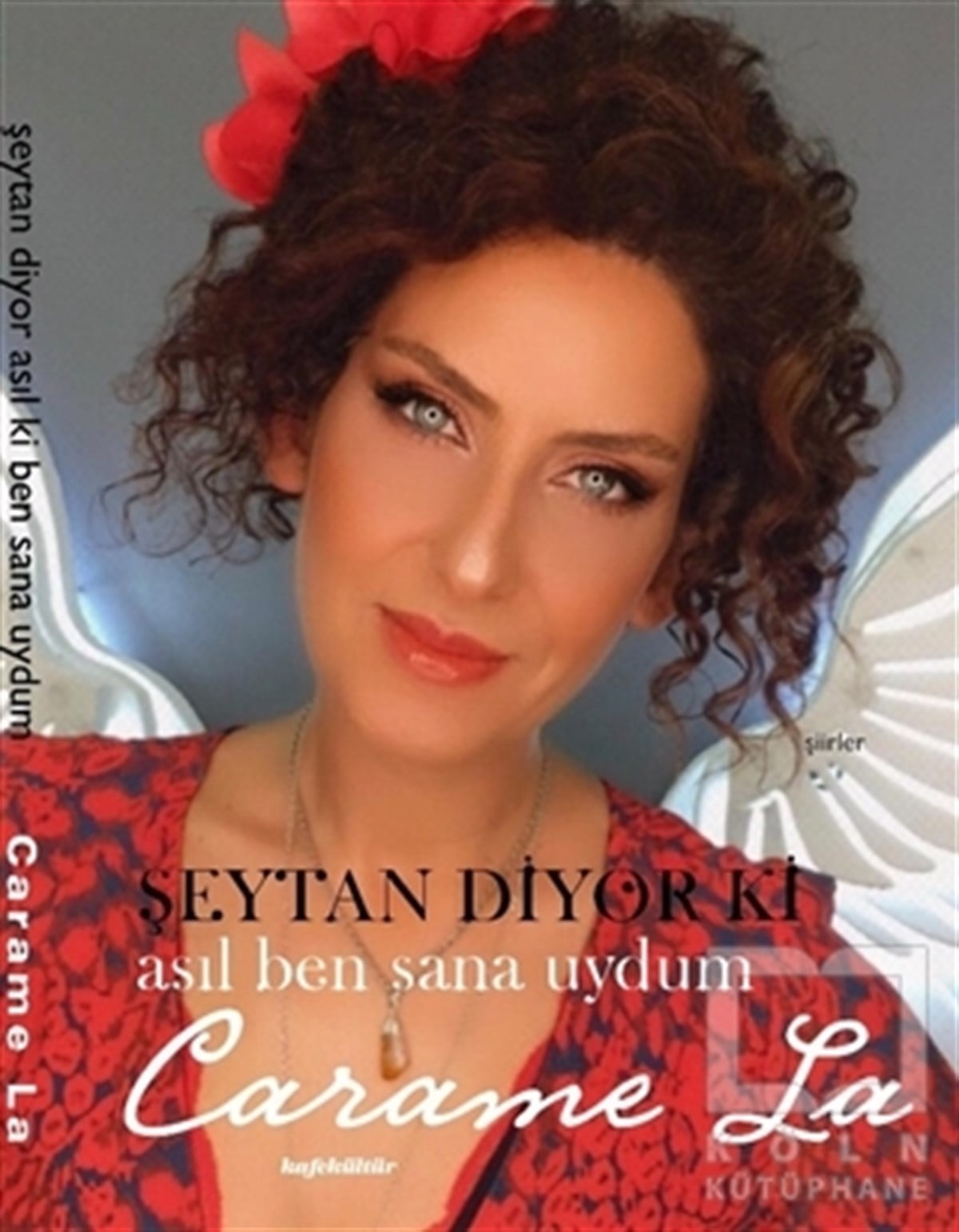 Carame LaTürkçe Şiir KitaplarıŞeytan Diyor ki Asıl Ben Sana Uydum