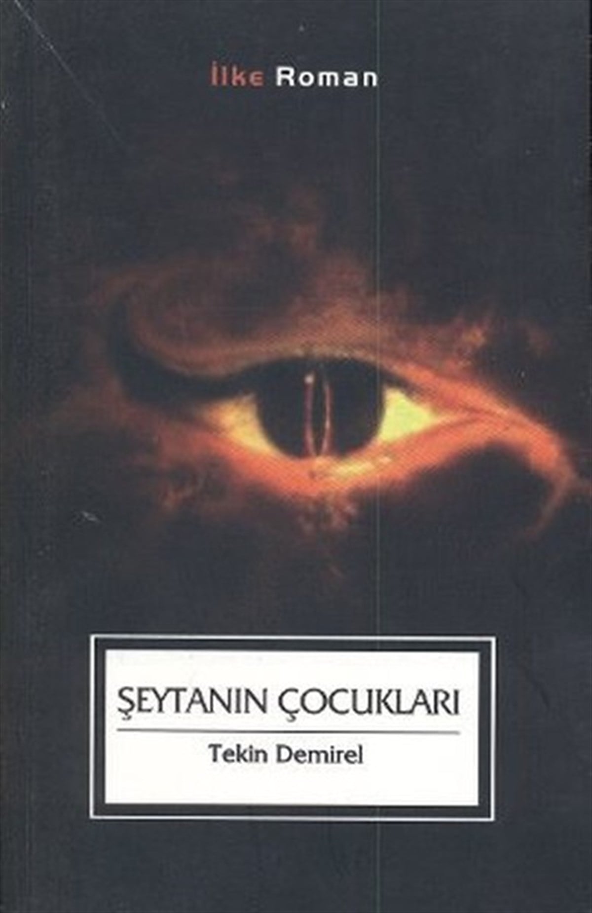 Tekin DemirelTürkiye RomanŞeytanın Çocukları
