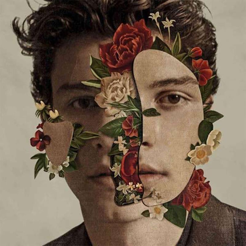 shawn-mendes-shawn-mendesshawn-mendes--40c3-a.jpg