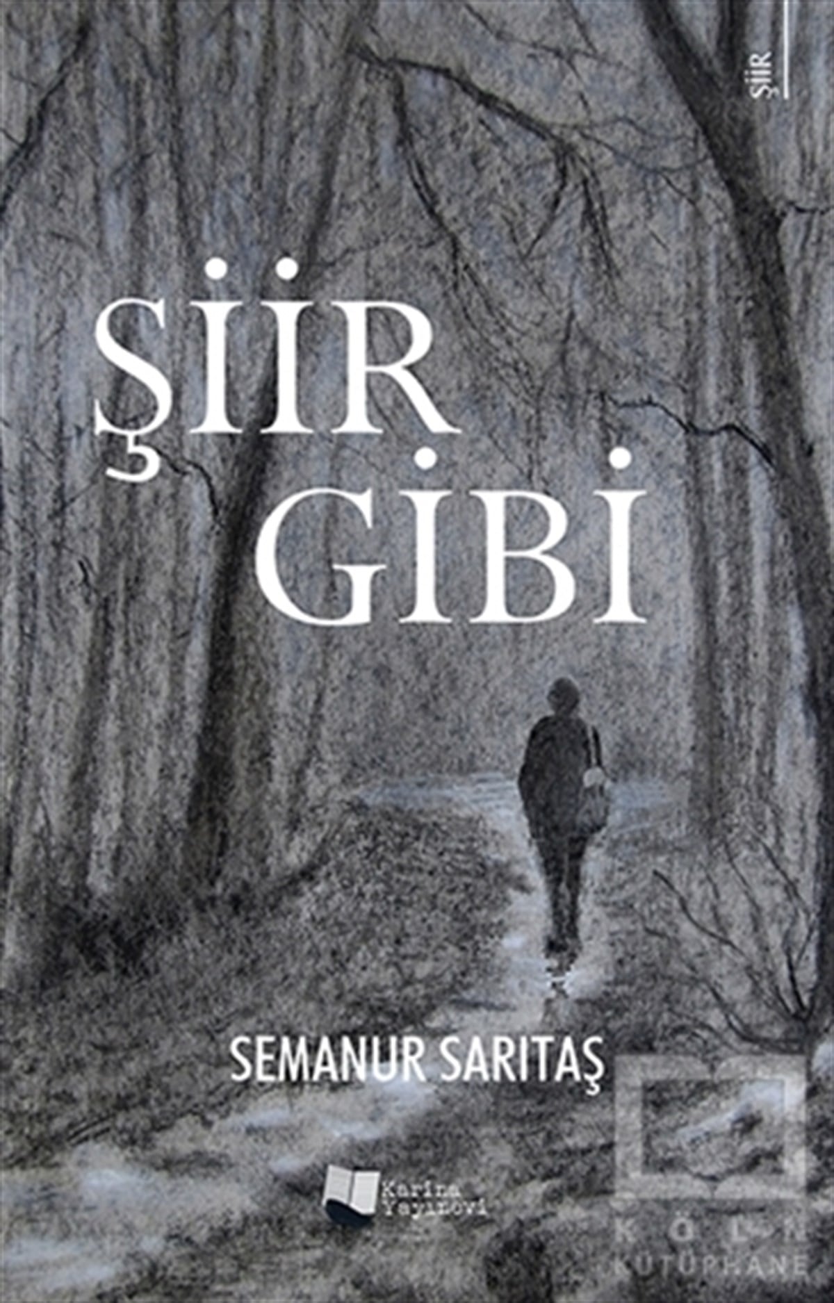 Semanur SarıtaşTürkçe Şiir KitaplarıŞiir Gibi