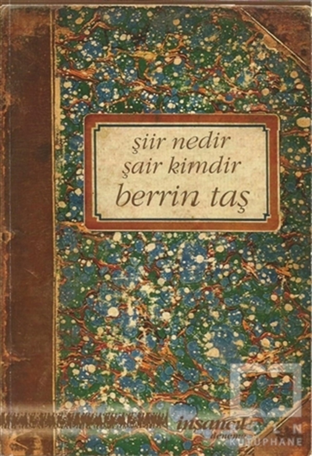 Berrin TaşDenemeŞiir Nedir Şair Kimdir
