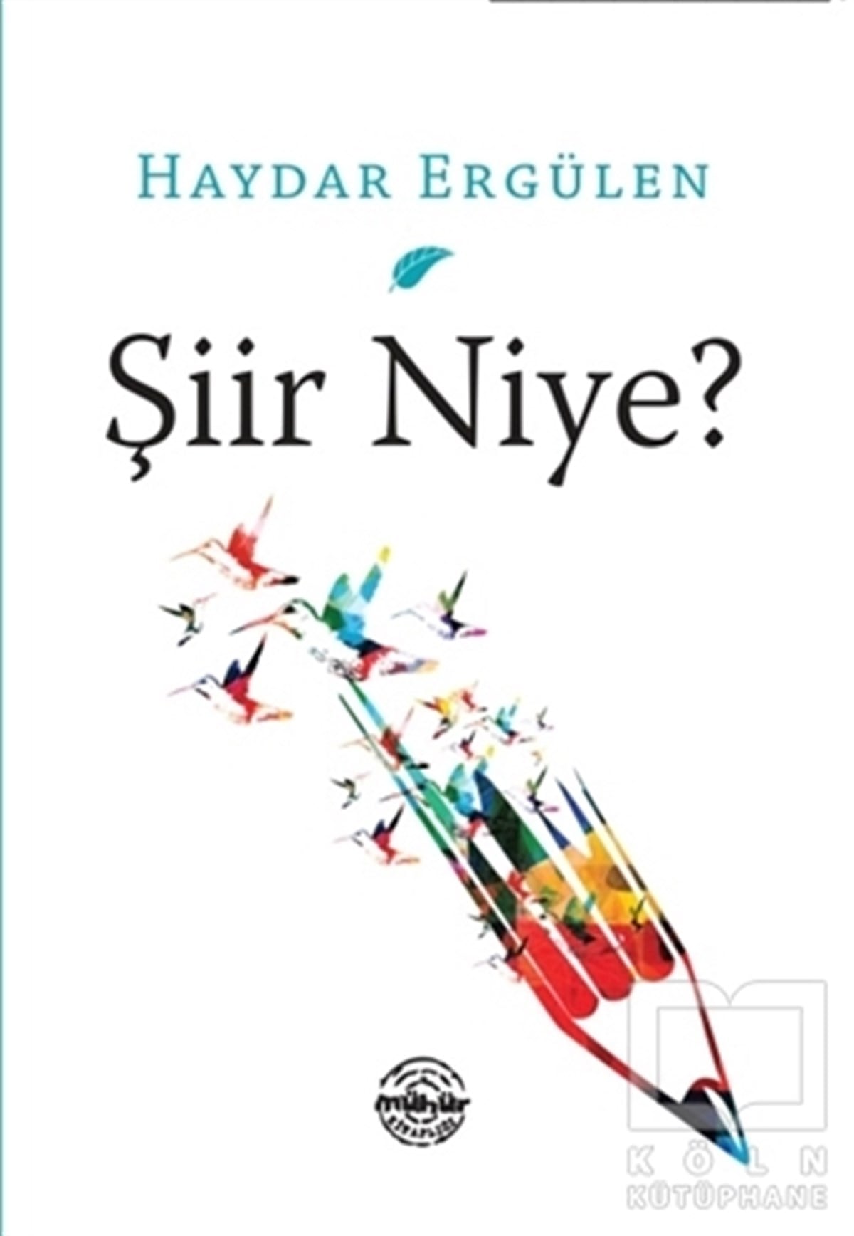 Haydar ErgülenDeneme KitaplarıŞiir Niye?