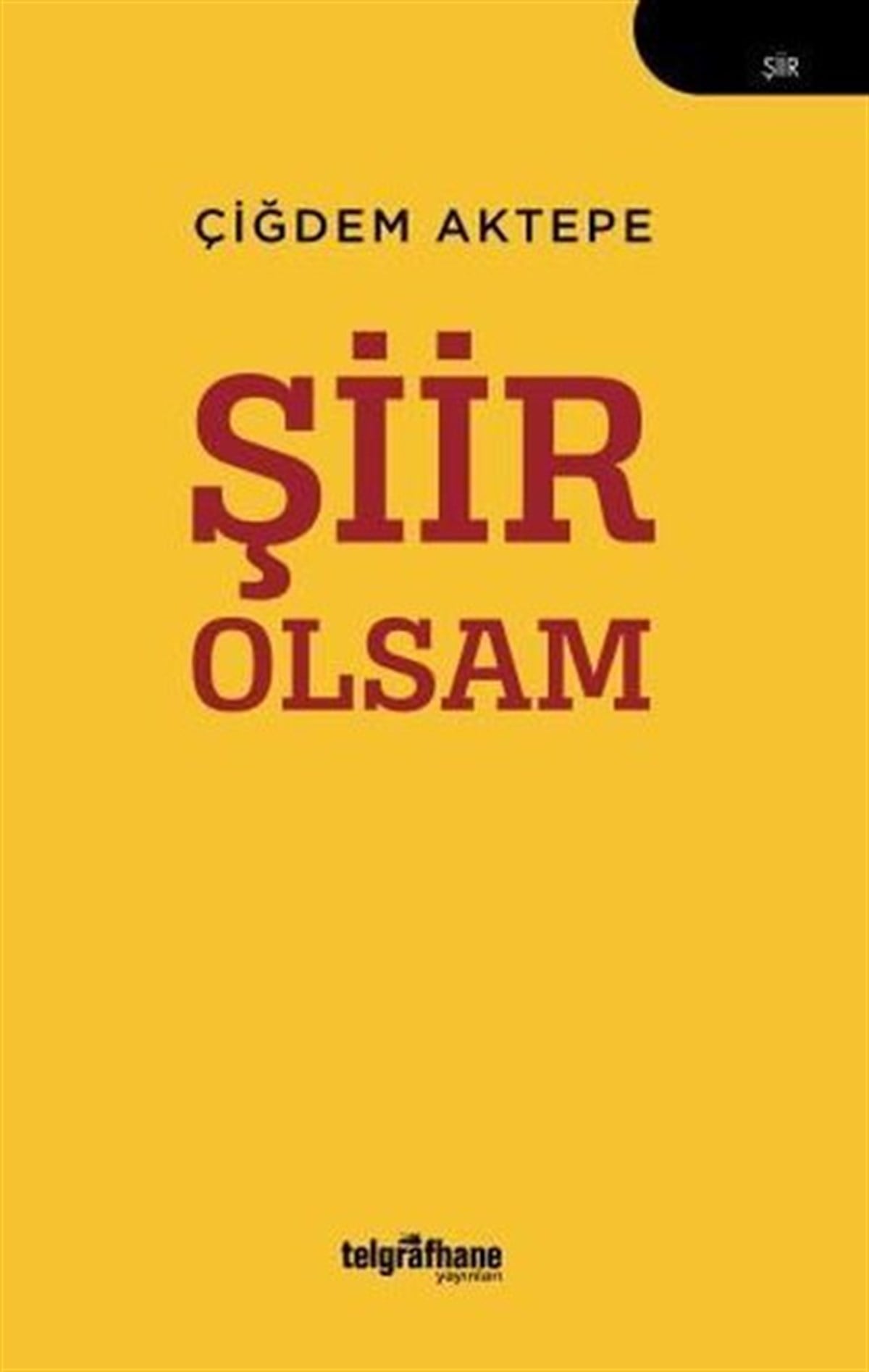 Çiğdem AktepeTürk ŞiiriŞiir Olsam
